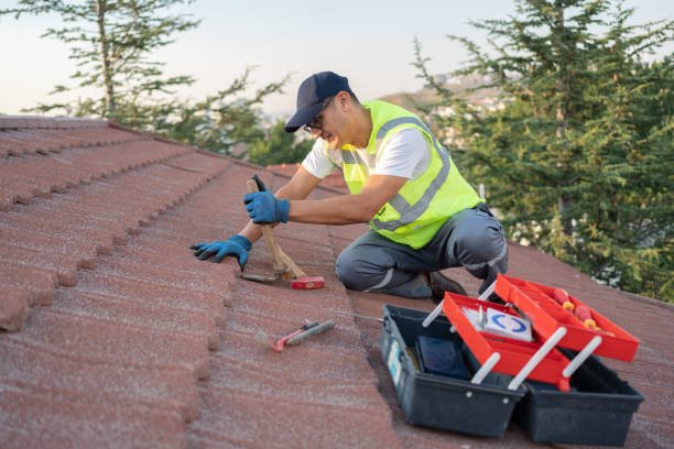 Best Gutter Installation and Roofing  in Elliston, VA