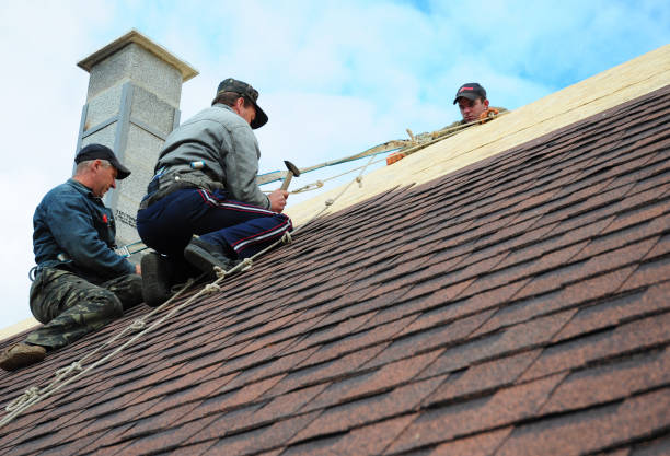 Best Roof Repair Services  in Elliston, VA